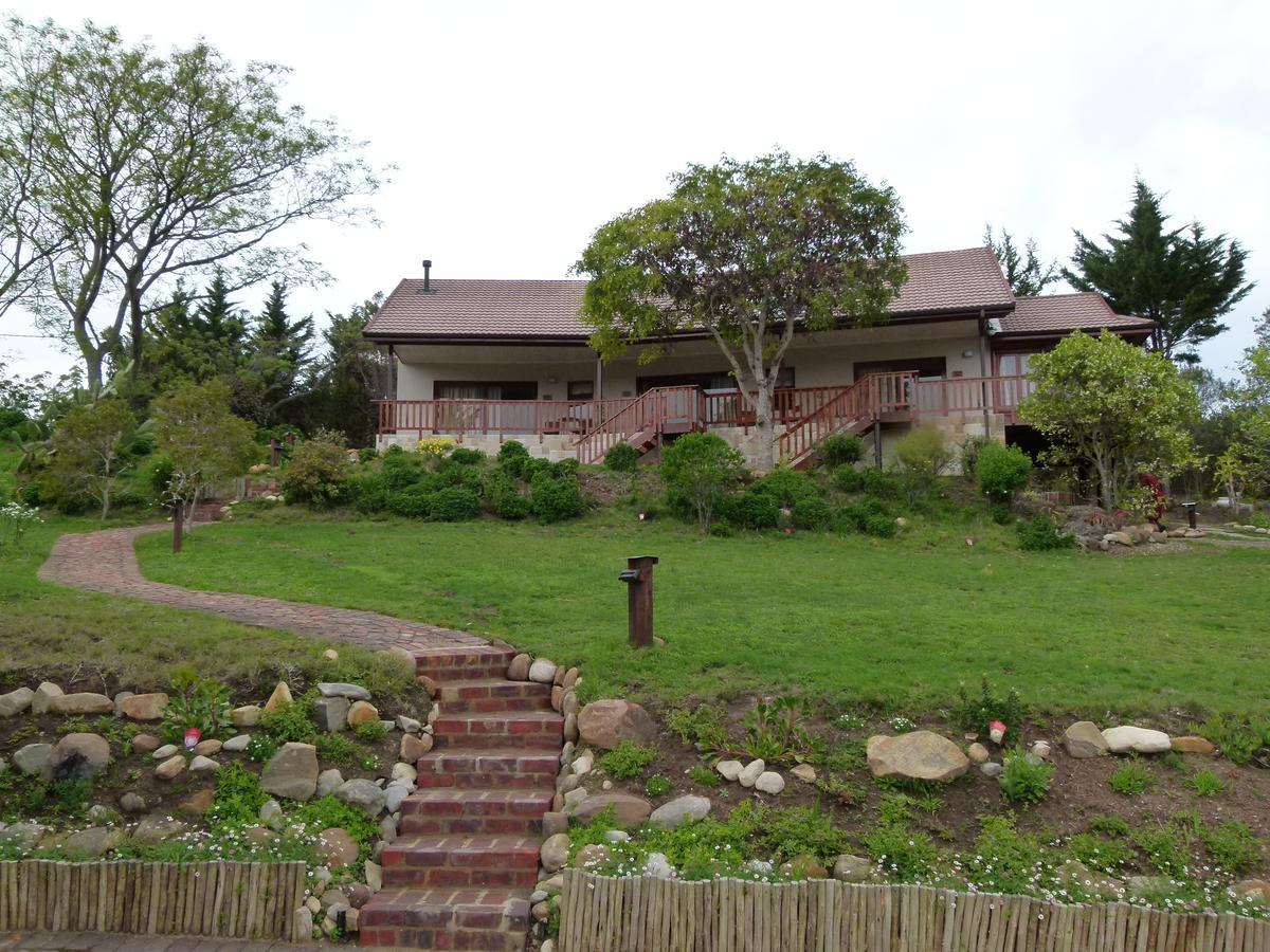 Fish Eagle Lodge Knysna Extérieur photo